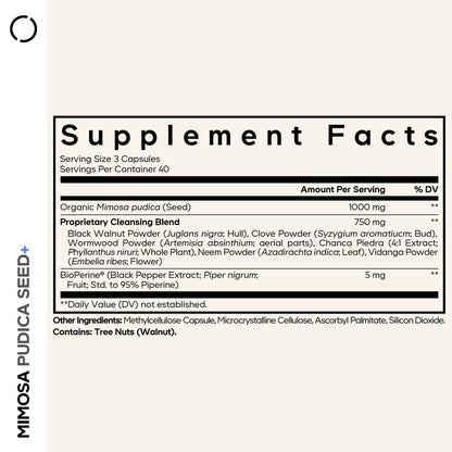 Mimosa Pudica Seed + Capsules