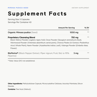 Mimosa Pudica Seed + Capsules - Vegan America