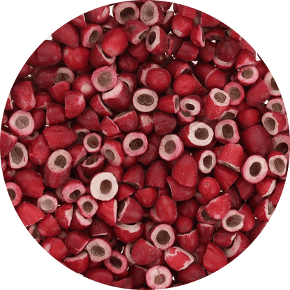 Freeze Dried Miracle Berry Halves