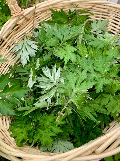 DREAMY | Loose herbal smoking blend • Organic & wildcrafted mullein, mugwort, mint, and sage for calming, sweet dreams, and relaxation