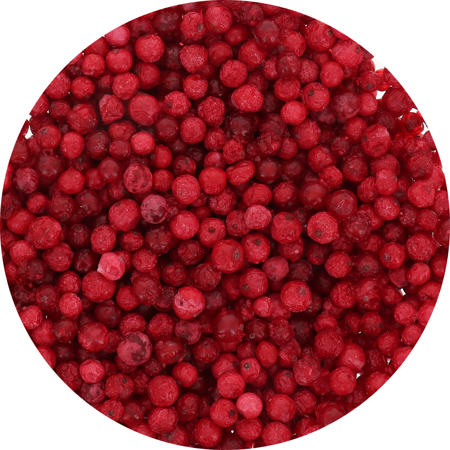 Freeze Dried Red Currant