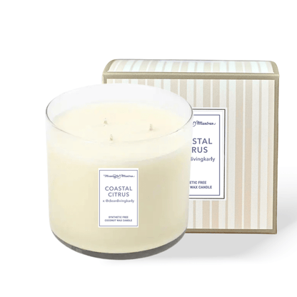 Coastal Citrus x @CleanLivingKarly Natural Candle 8oz Kaia Collection - Vegan America