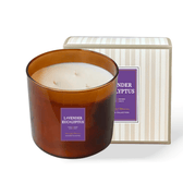 Wellness Lavender Eucalyptus 3-Wick Candle - Vegan America