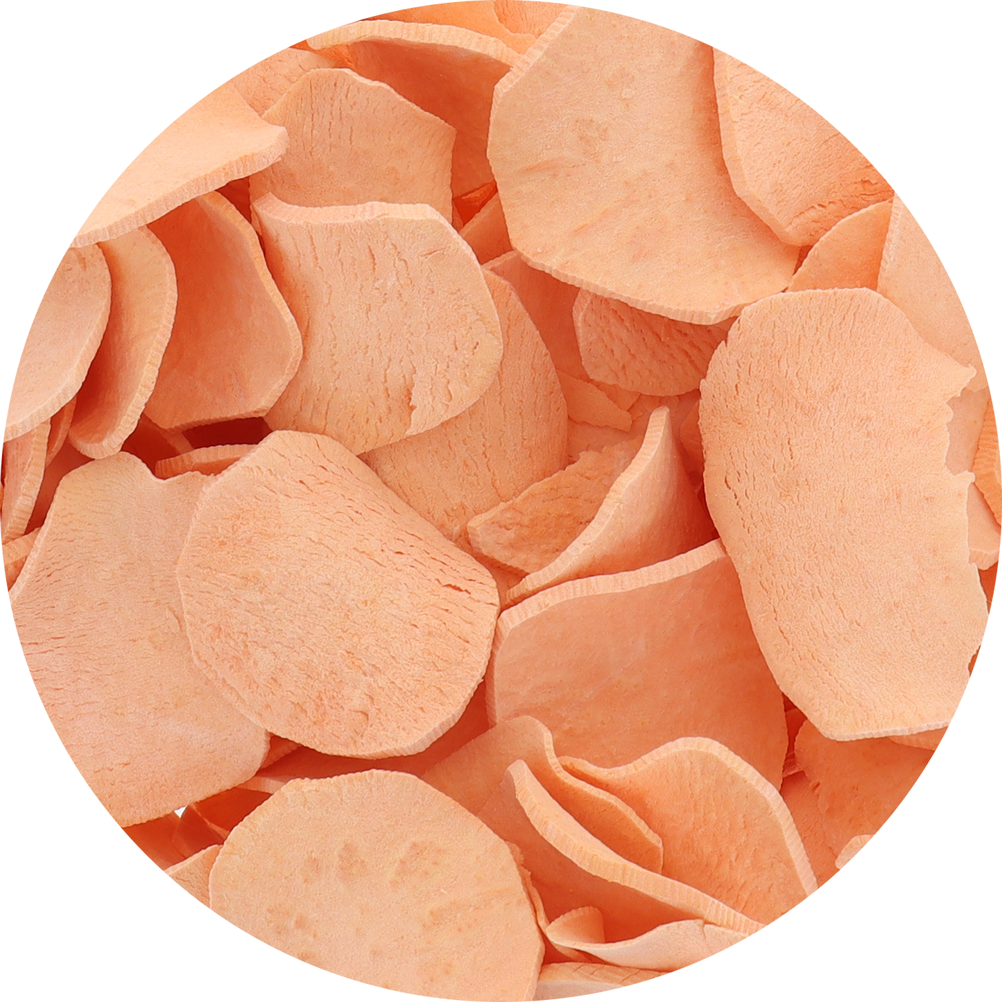 Freeze Dried Sweet Potato Chips