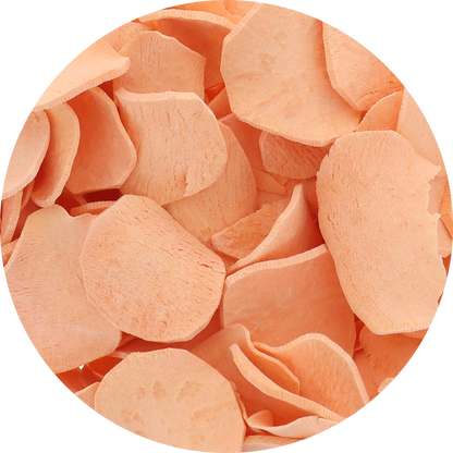 Freeze Dried Sweet Potato Chips