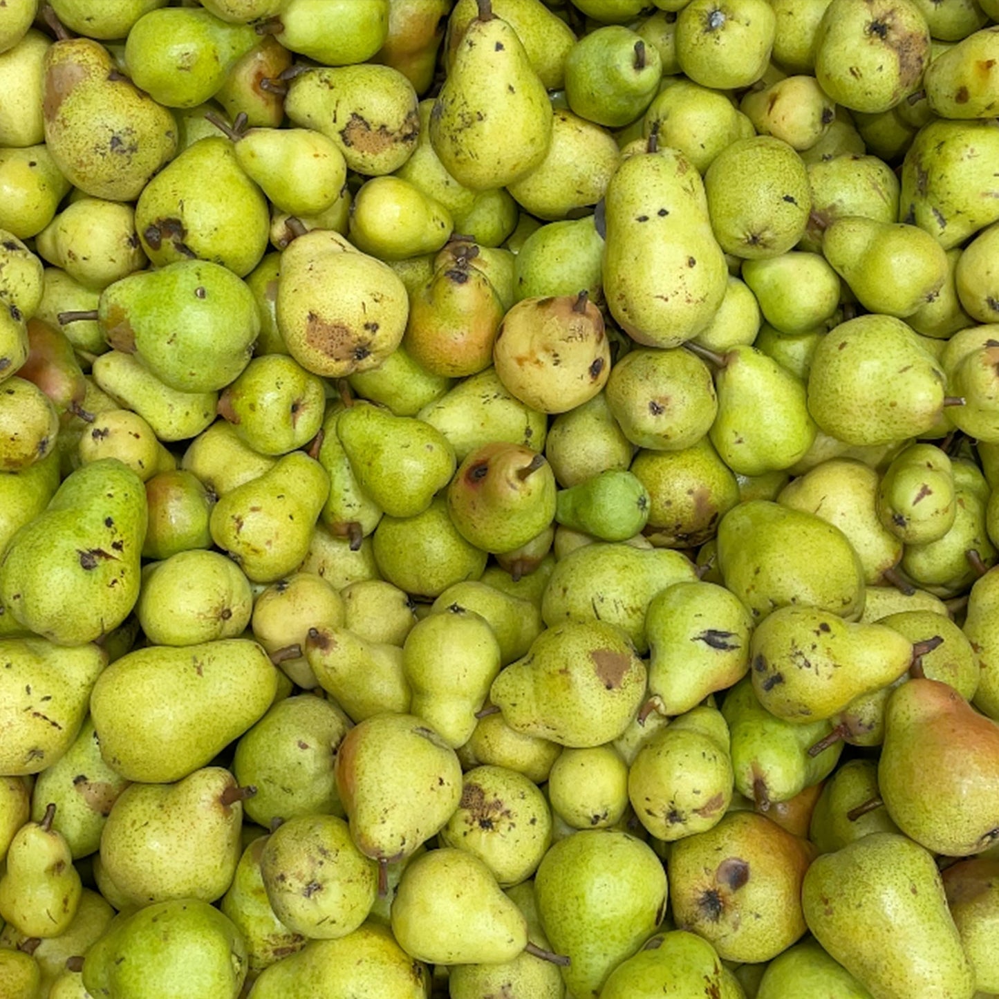 NON2 Caramelised Pear & Kombu