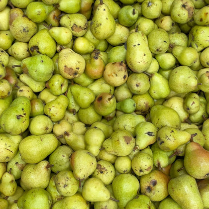 NON2 Caramelised Pear & Kombu