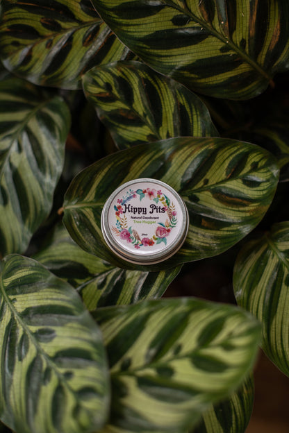 Hippy Pits Vegan Deodorant, Tree Hugger Scent 1 oz tin