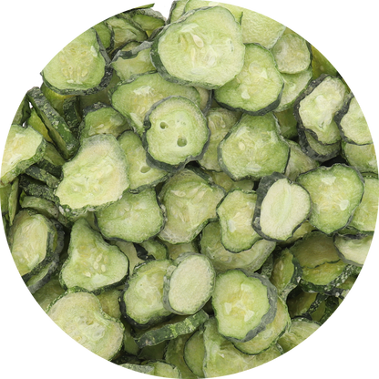 Freeze Dried New Pickle Chips from The Pickle Guys (Minimal Salt)