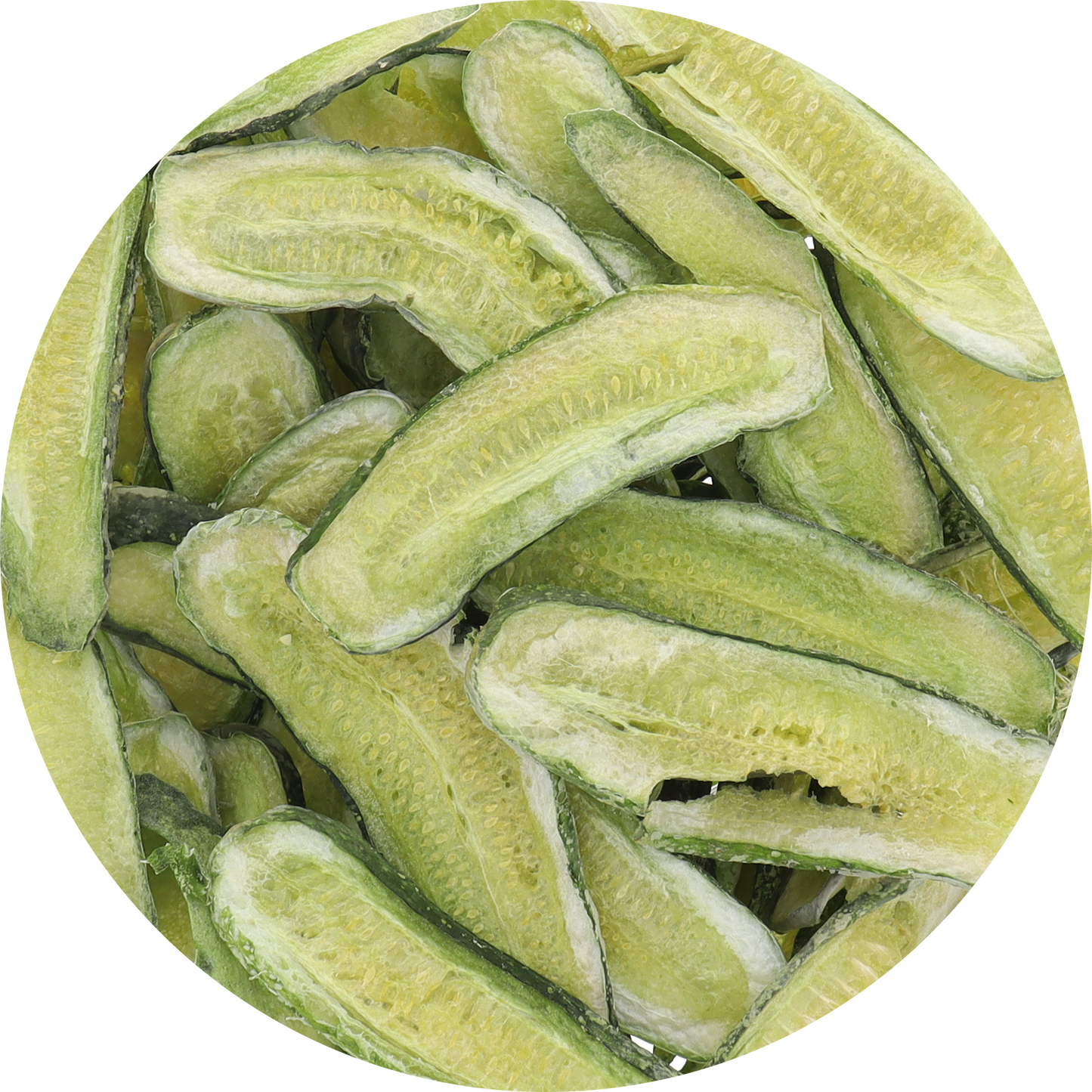 Freeze Dried New Pickle Slices from The Pickle Guys (Minimal Salt)