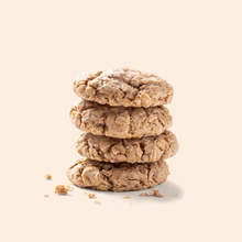 Oatmeal Cinnamon Cookie Mixes - Vegan America