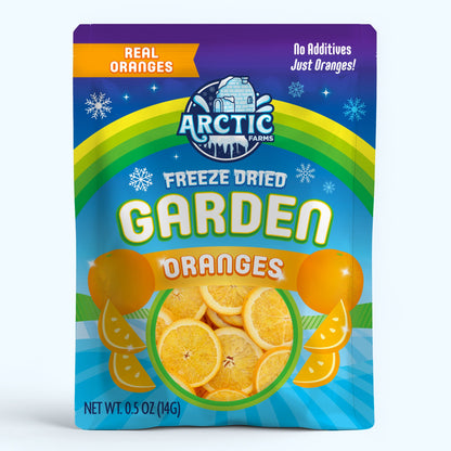 Freeze Dried Orange Slices