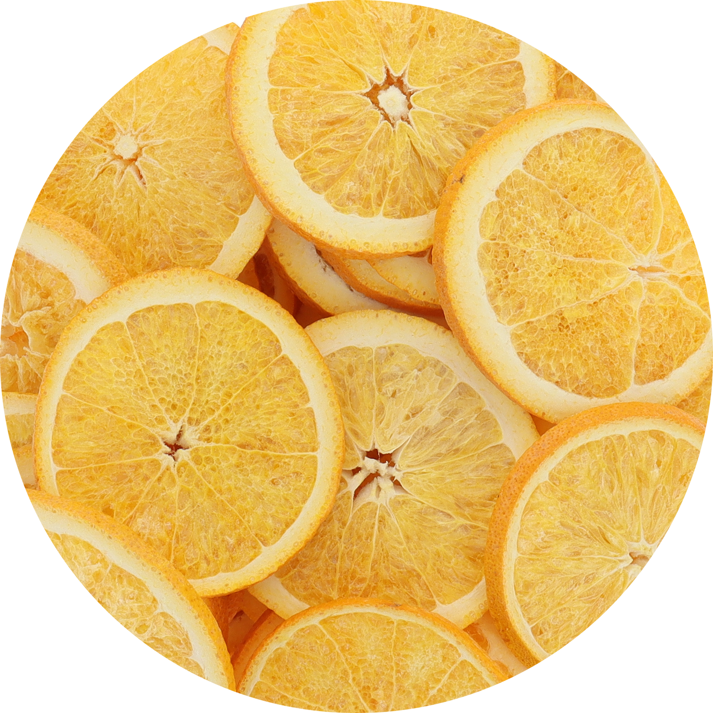 Freeze Dried Orange Slices