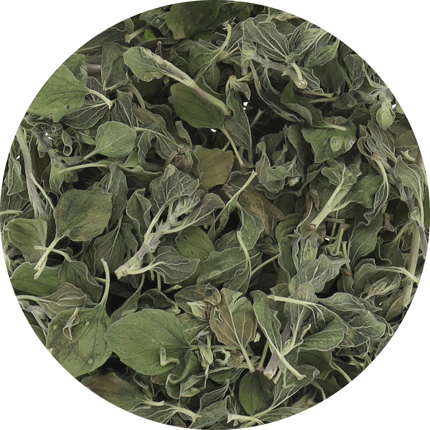 Freeze Dried Oregano - Vegan America