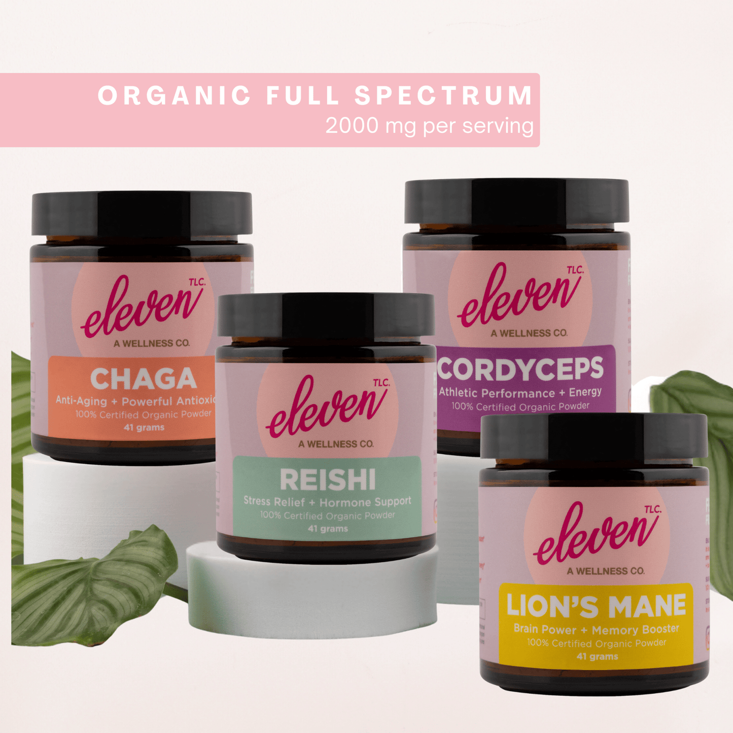 Organic Mushroom Powder Bundle | Chaga, Reishi, Cordyceps, & Lion's Mane Superfoods - Vegan America