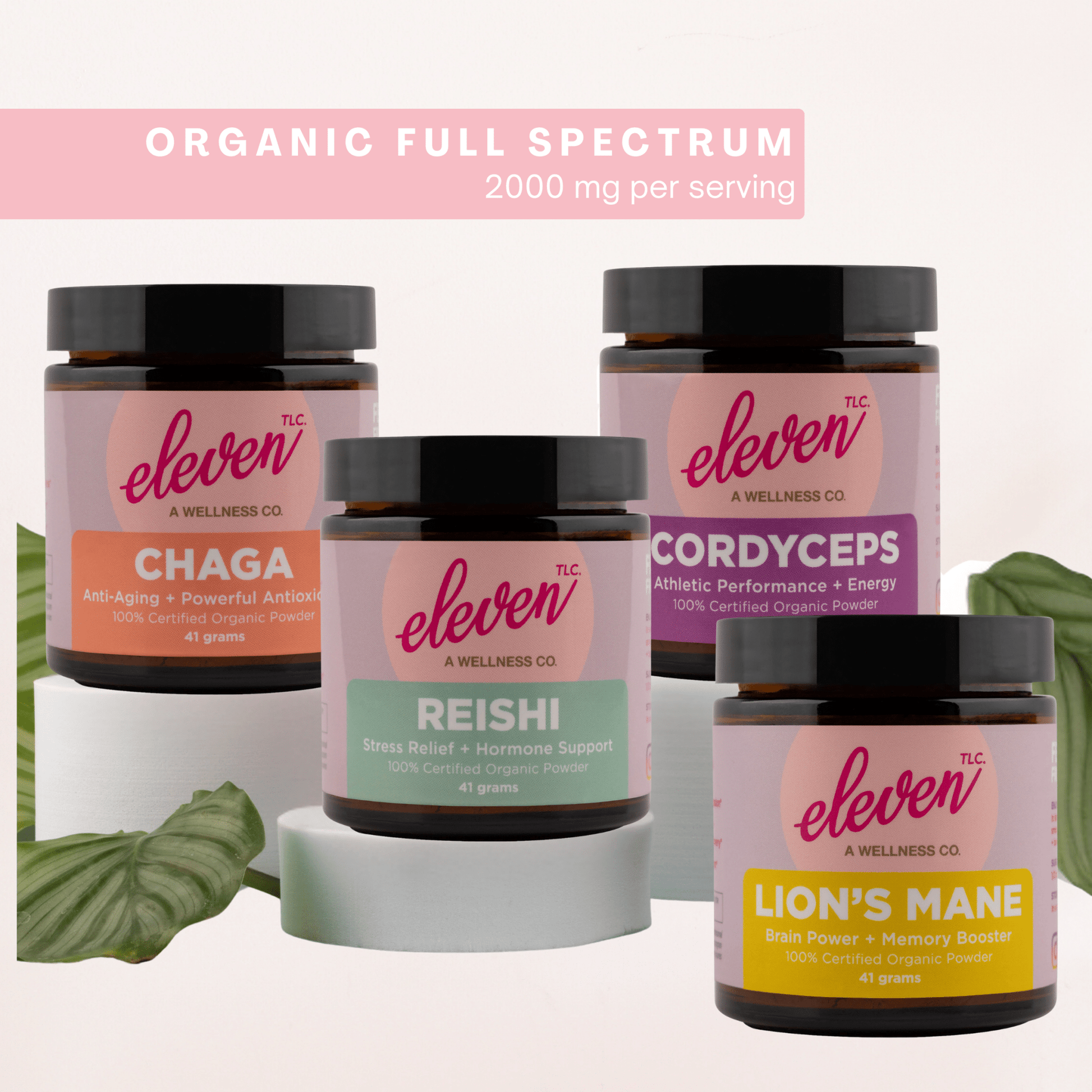 Organic Mushroom Powder Bundle | Chaga, Reishi, Cordyceps, & Lion's Mane Superfoods - Vegan America