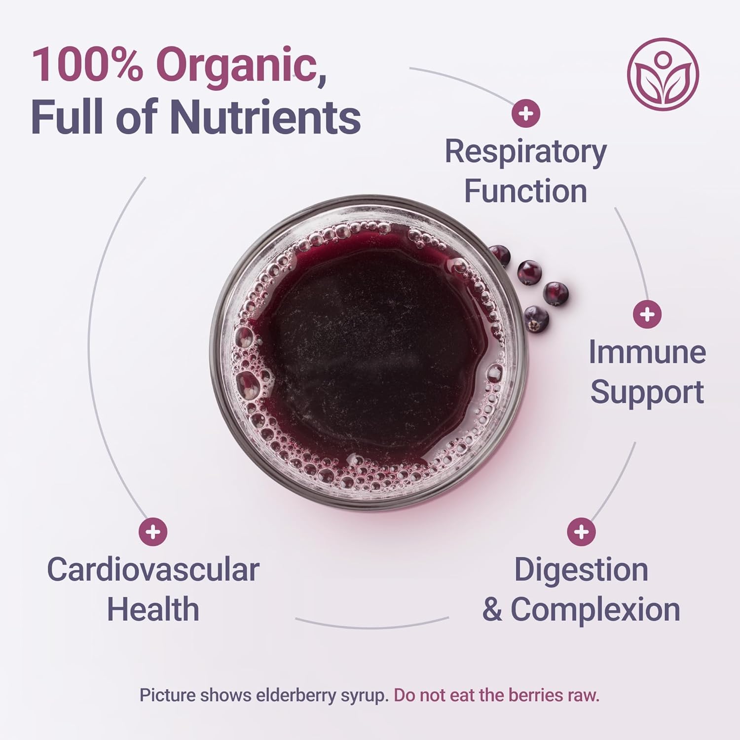 USDA Certified Organic Dried Elderberries - Bulk - 1 lb - Natural Ingredients - Vegan America