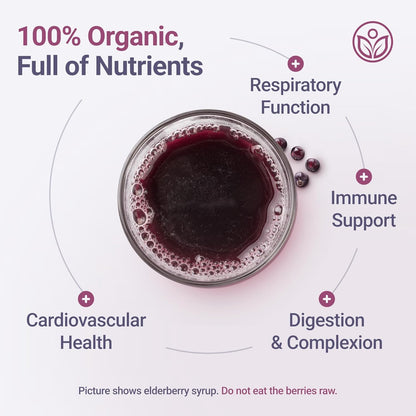 USDA Certified Organic Dried Elderberries - Bulk - 1 lb - Natural Ingredients - Vegan America