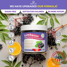 Elderberry Gummies With Zinc & Vitamin C - For Kids and Adults - 90 Gummy Supply - Vegan America