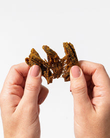 Curry Mushroom Jerky - Vegan America
