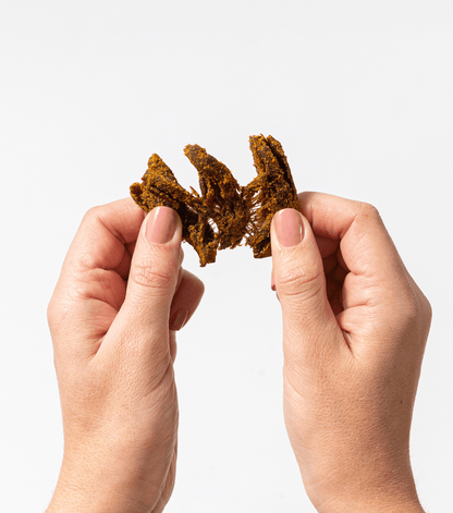 Pan's Mushroom Jerky Single Serve Sampler Pack - Vegan America