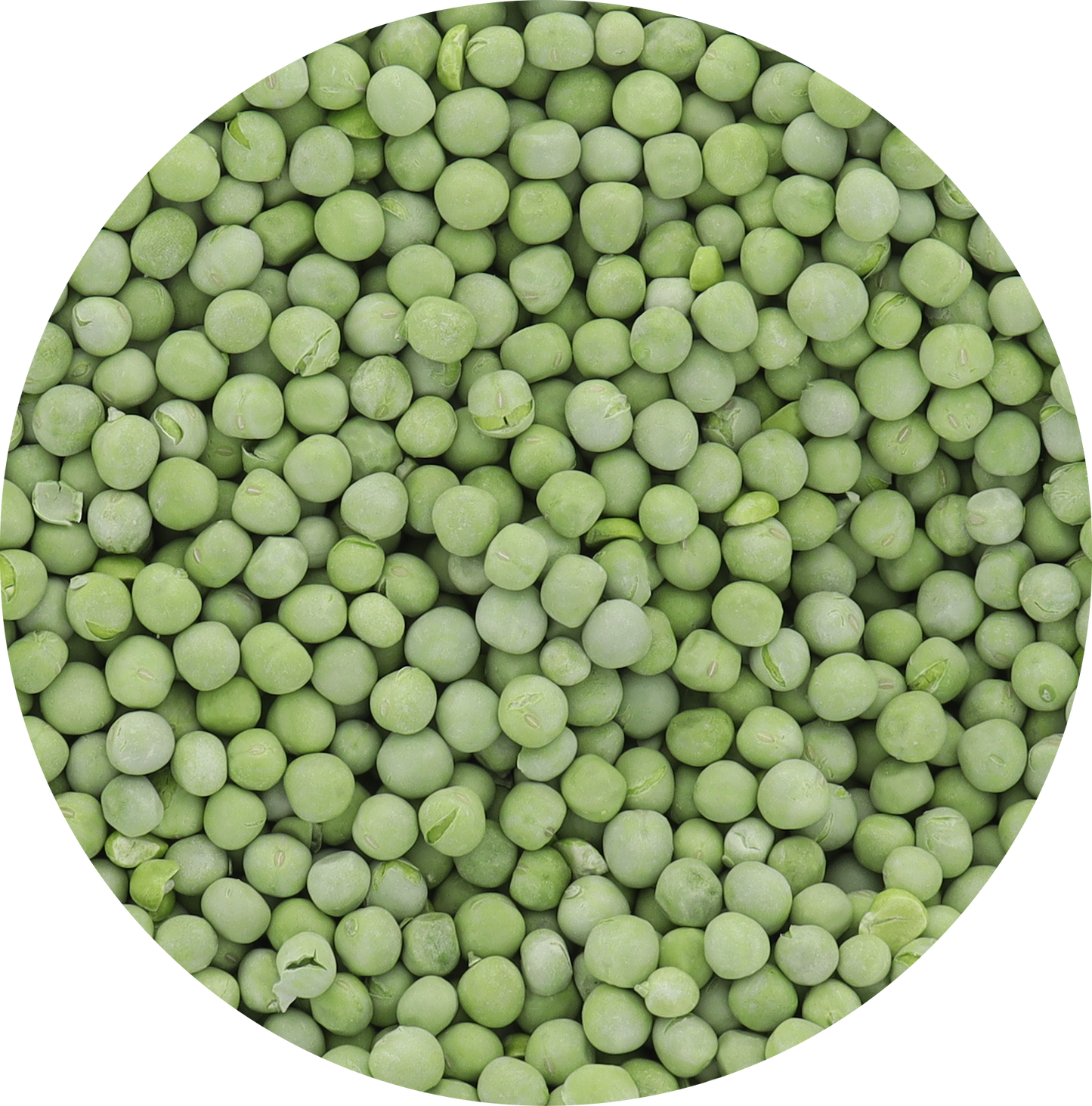 Freeze Dried Peas
