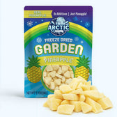 Freeze Dried Pineapple - Vegan America