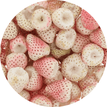 Freeze Dried Pineberry - Vegan America