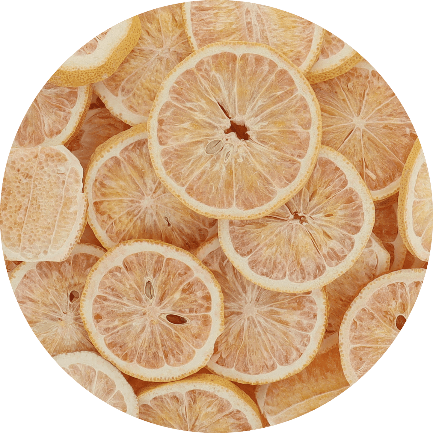 Freeze Dried Pink Lemon Slices - Vegan America
