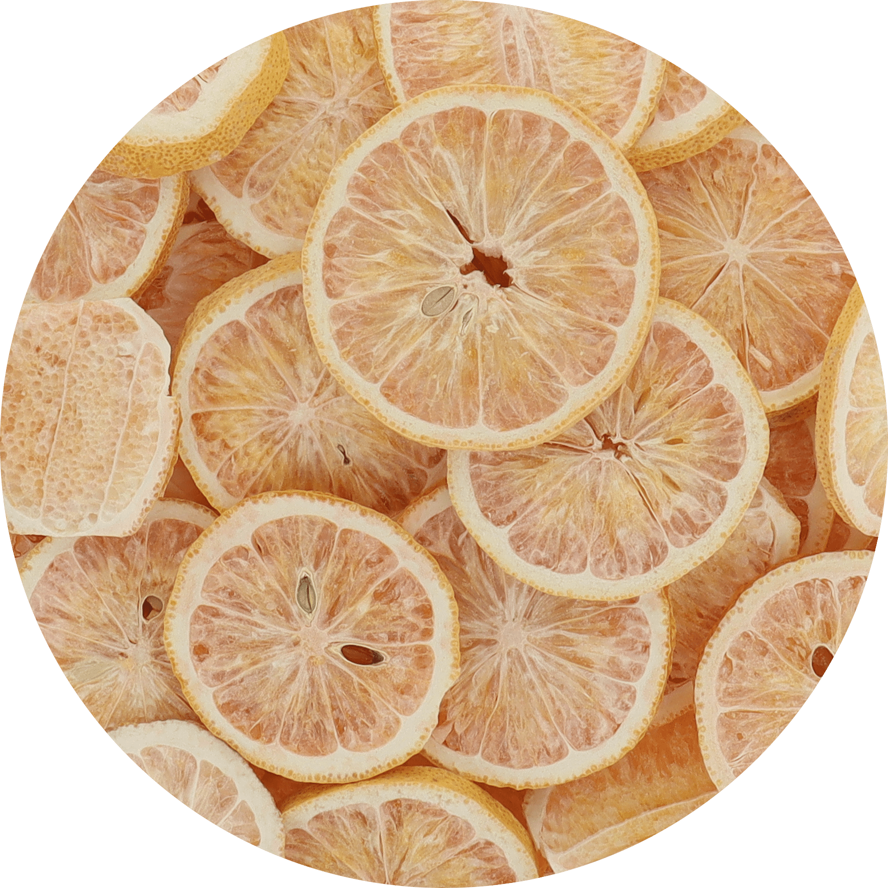 Freeze Dried Pink Lemon Slices - Vegan America