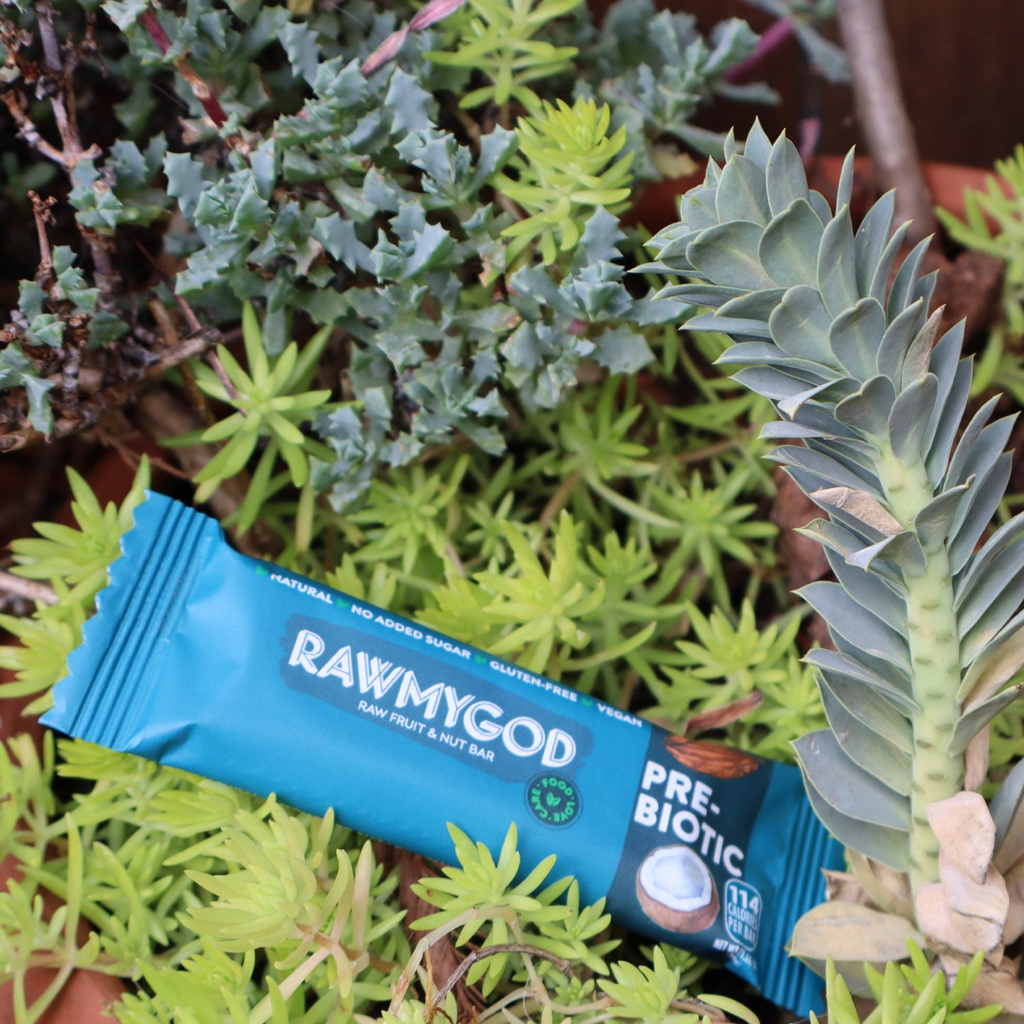 RAWMYGOD Prebiotic Raw Fruit & Nut Bar, Box of 20