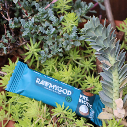 RAWMYGOD Prebiotic Raw Fruit & Nut Bar, Box of 20