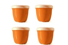 Clearance - Food Storage Container | Mini | Set of 4 | Without Packaging