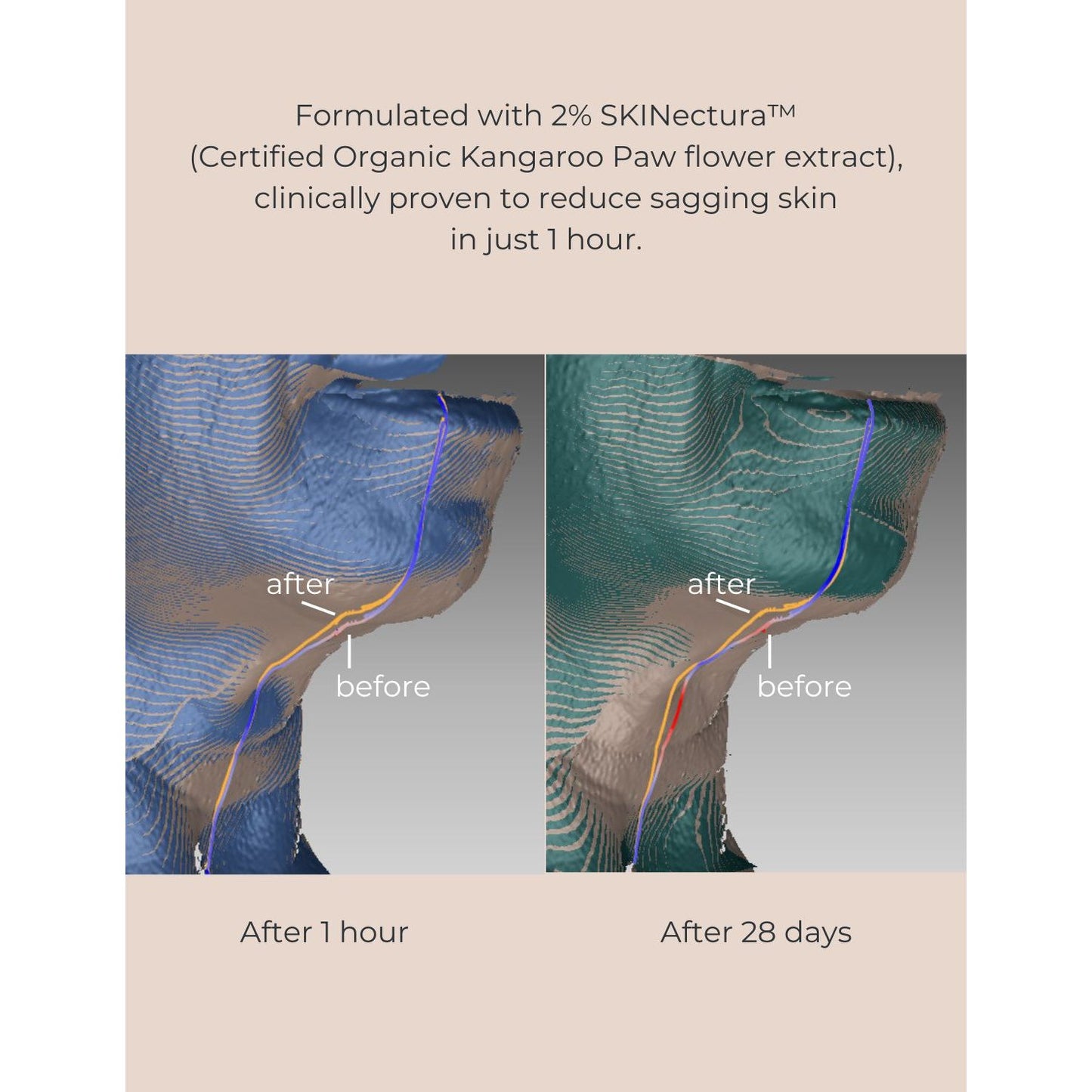 Long-Last Foundation Bundle