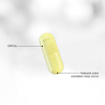 Probiotic+ 100 Billion CFUs