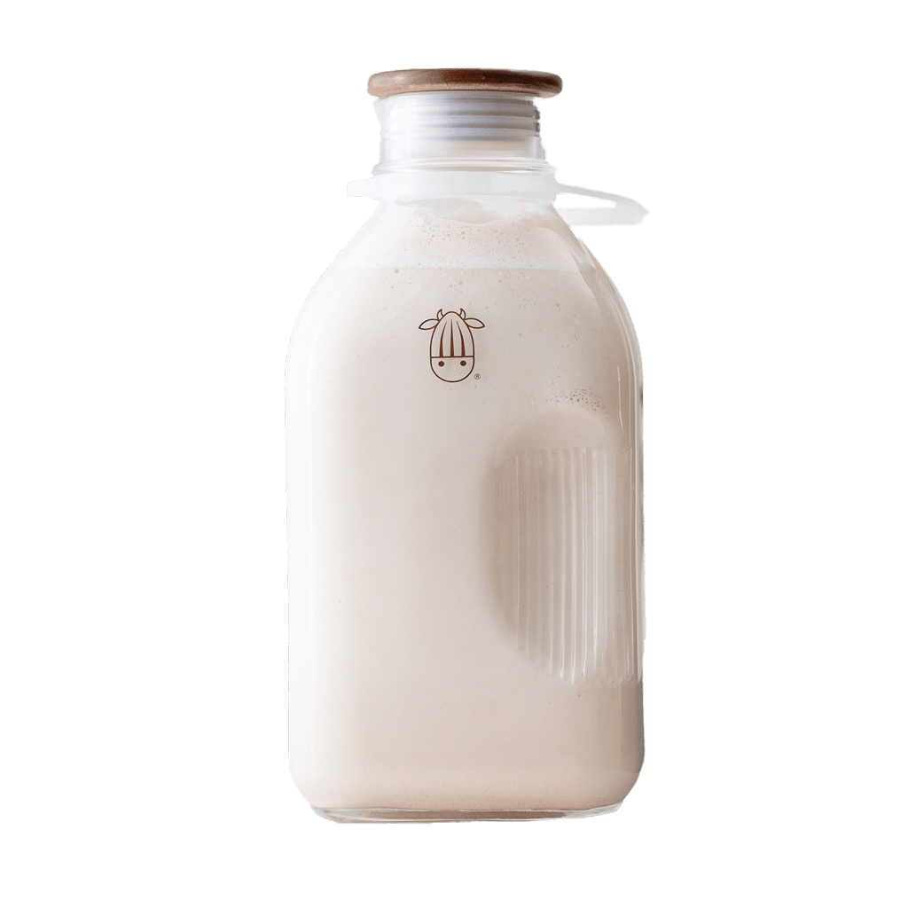 Milk-in-a-Minute Bundle: Everything You Need to Make Fresh Plant-Based Milk in Minutes - Vegan America