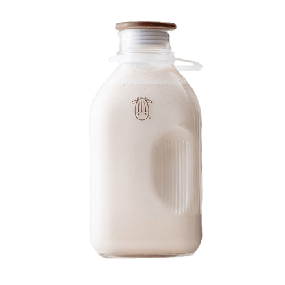 Milk-in-a-Minute Bundle: Everything You Need to Make Fresh Plant-Based Milk in Minutes - Vegan America