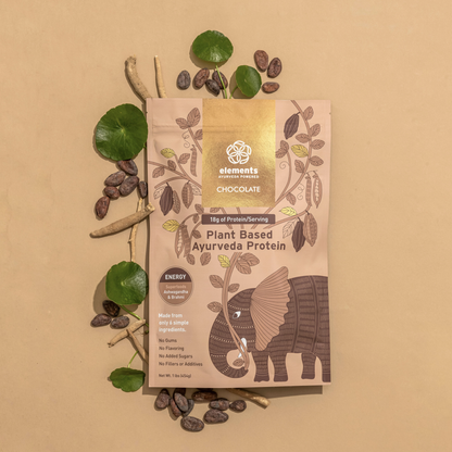 Plant Based Protein Powder: Chocolate (14 Servings)