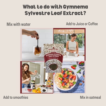 RawGuru Gymnema Sylvestre Leaf Extract - 16 oz - Vegan America
