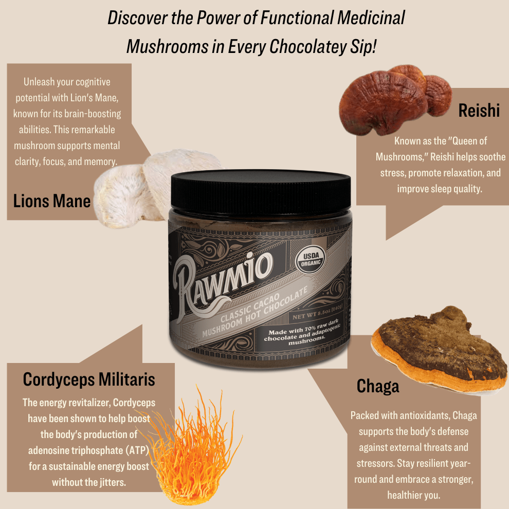 Classic Cacao Mushroom Hot Chocolate - Vegan America