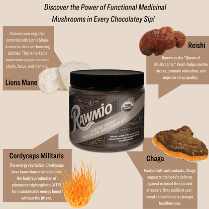 Classic Cacao Mushroom Hot Chocolate - Vegan America