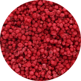 Freeze Dried Wild Red Huckleberries