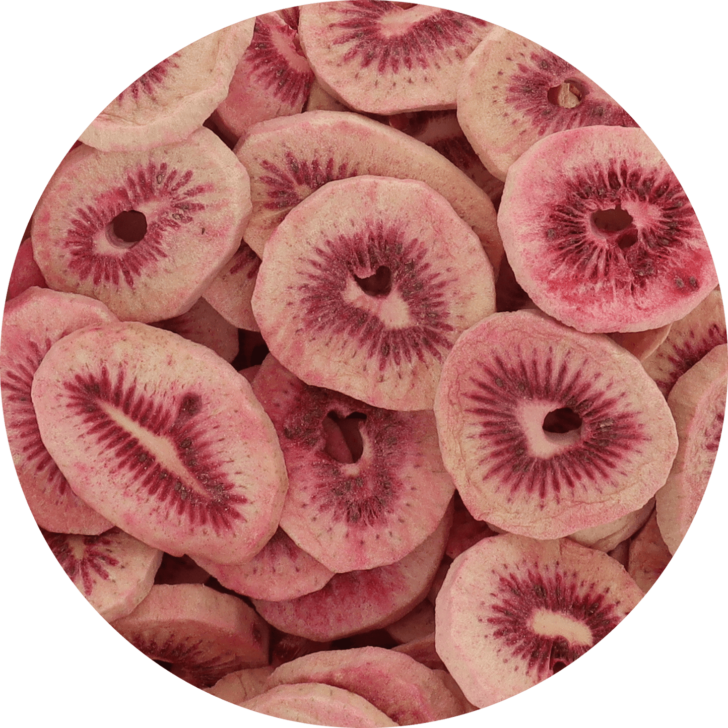 Freeze Dried Red Kiwi - Vegan America