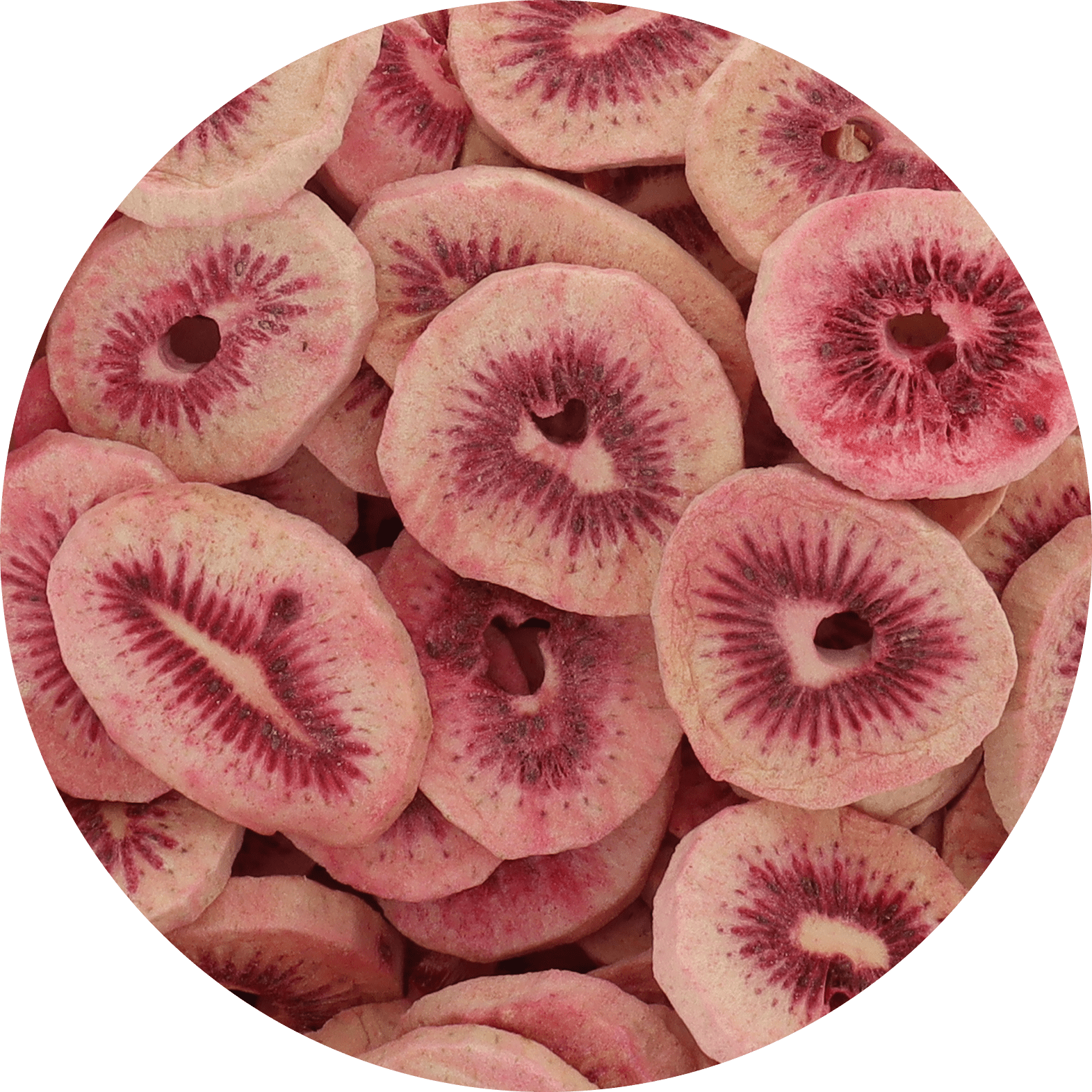 Freeze Dried Red Kiwi - Vegan America