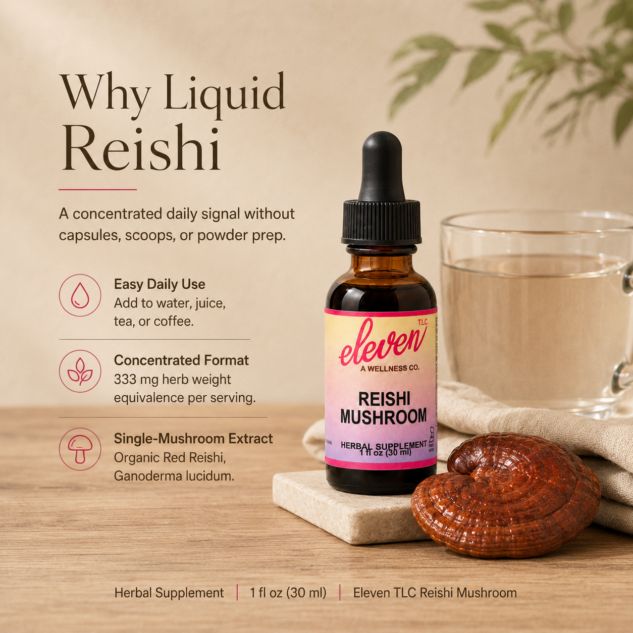 Reishi Mushroom Tincture | Calm & Immune | 1 oz