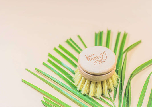 Wooden Dish Brush - Replacement Head
