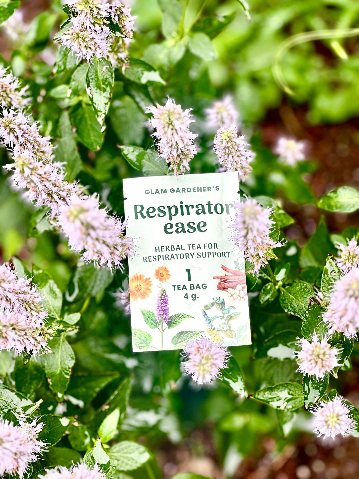 RESPIRATOR-EASE • Single tea bag  • Herbal tea with Mullein, Licorice root & Slippery Elm