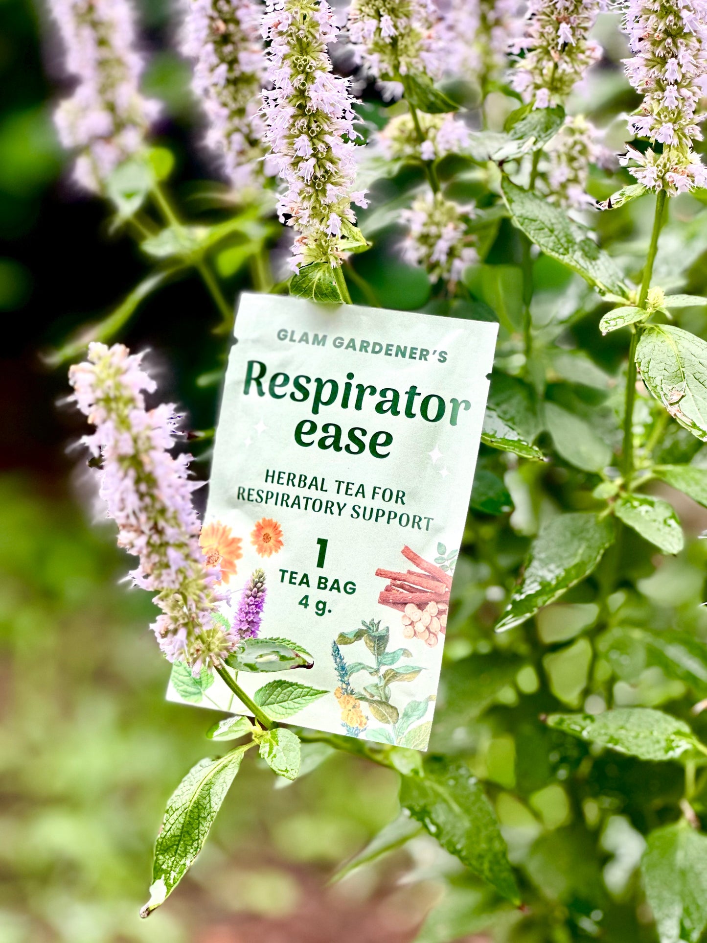 RESPIRATOR-EASE • Single tea bag  • Herbal tea with Mullein, Licorice root & Slippery Elm