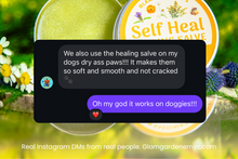 VEGAN SELF HEAL • Salve & healing lotion for cuts, burns, and wounds with Self Heal, Calendula, Goldenrod, and Chamomile ⭐️ ON SALE ⭐️