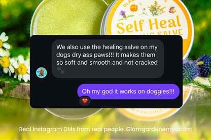 VEGAN SELF HEAL • Salve & healing lotion for cuts, burns, and wounds with Self Heal, Calendula, Goldenrod, and Chamomile ⭐️ ON SALE ⭐️